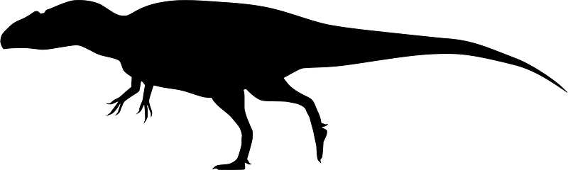 Acrocanthoscale