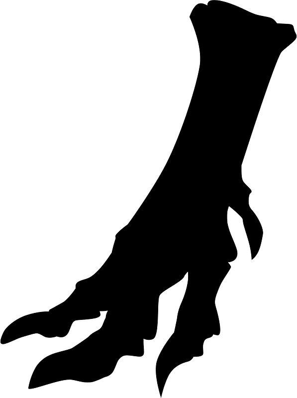Dinosaur fossil