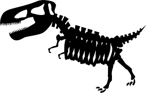 Dinosaur fossil