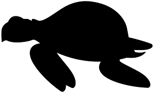 Sea turtle