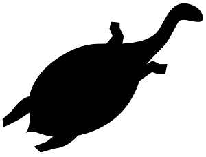 Aboriginal turtle