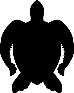 Sea turtle
