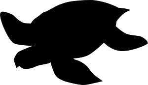 Archelon dinosaur