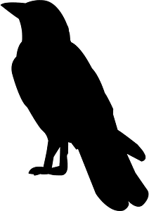 Crow