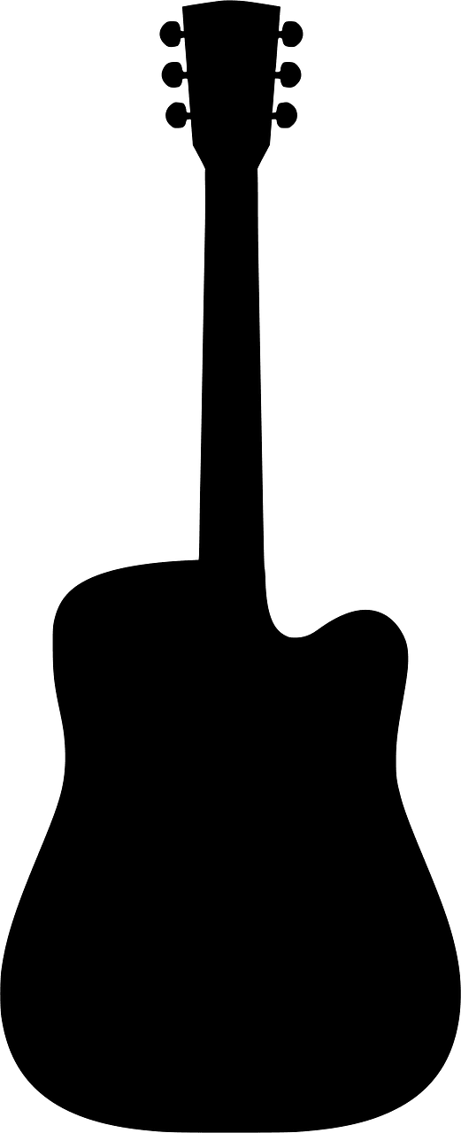 Acoustic Guitar