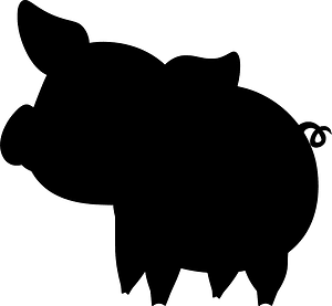 Pig