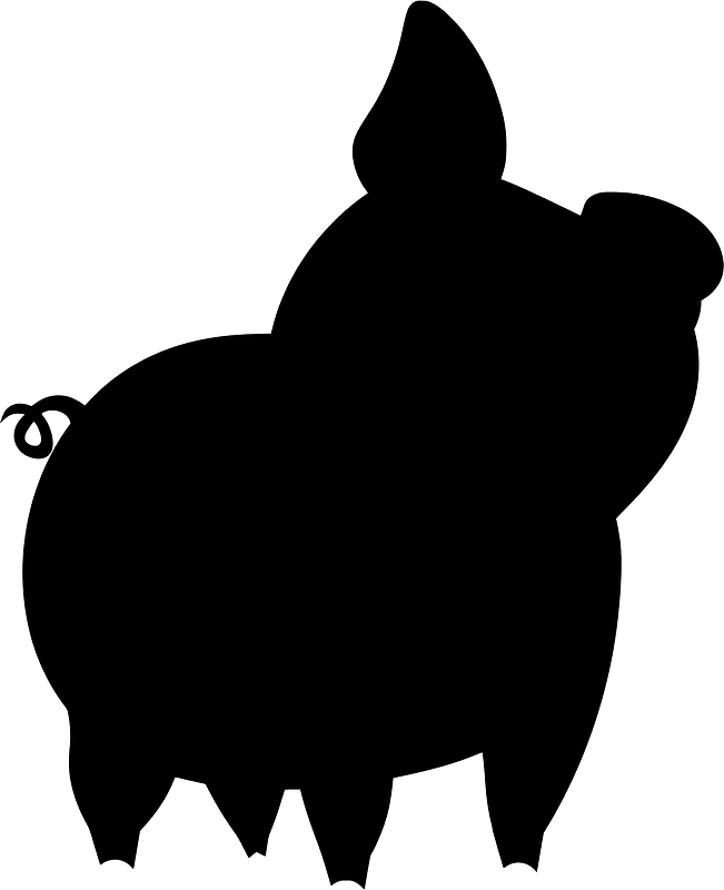 Pig