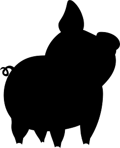 Pig