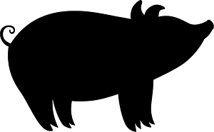 Pig