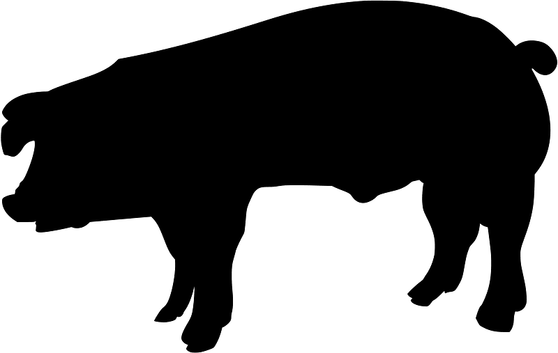 Pig - Free vector silhouettes on creazilla.com