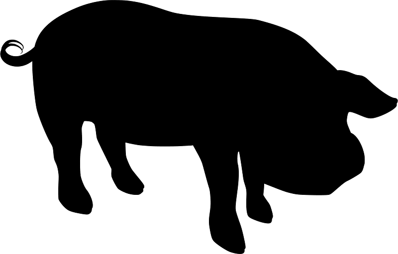 Pig