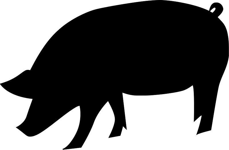 Pig
