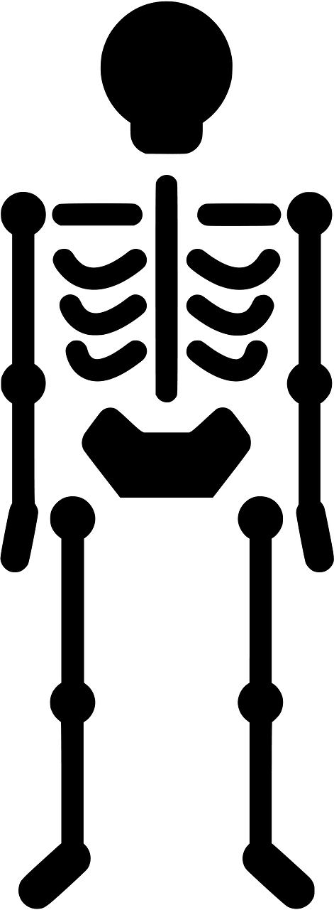 Skeleton