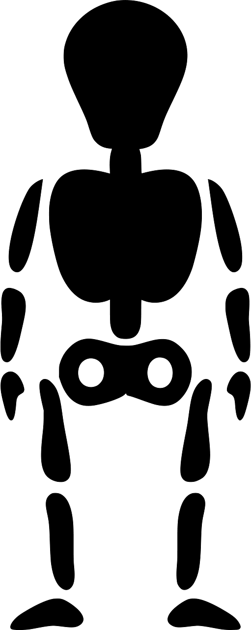 Skeleton