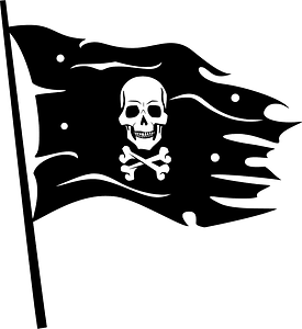 Pirate flag with skull