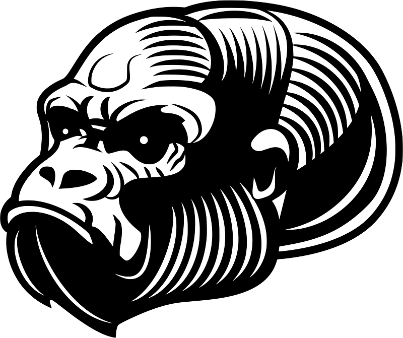 Ape skull