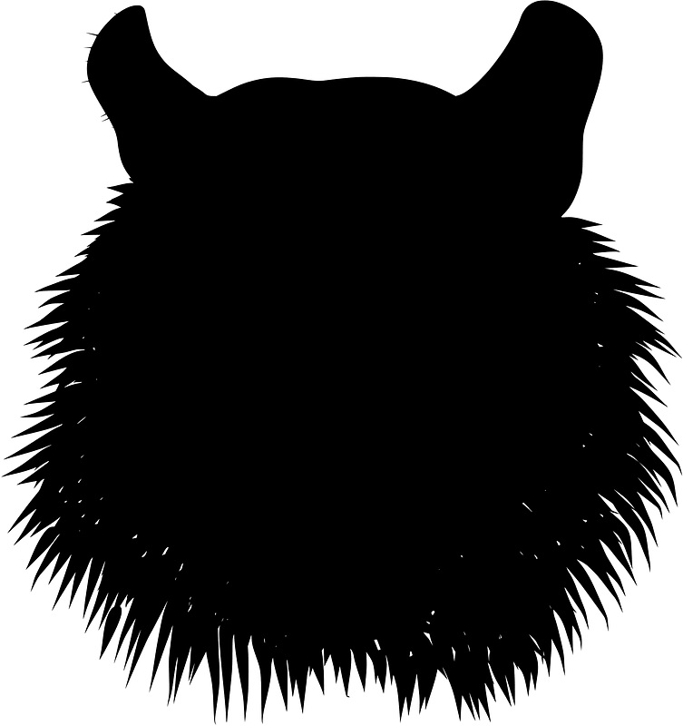 Tiger head