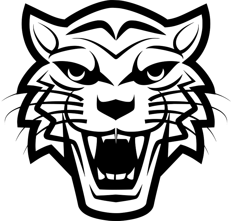 Tiger head