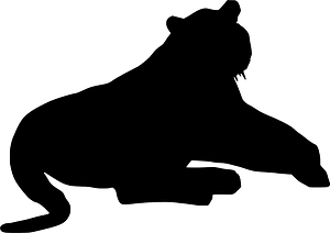 Asian