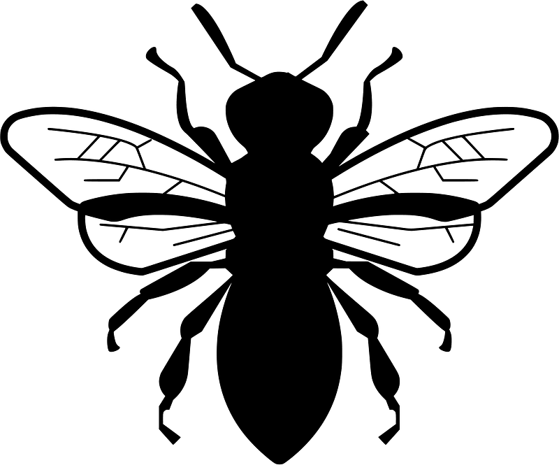 Bee
