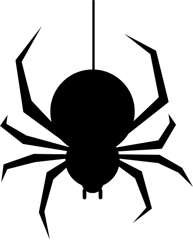 Spider