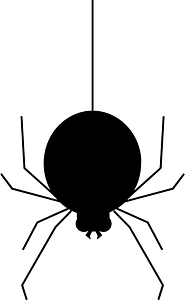 Spider