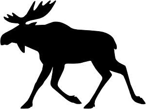 Moose