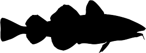 Cod