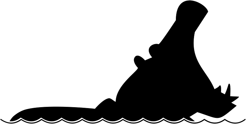 Hippopotamus