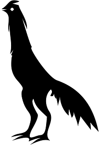 Rooster