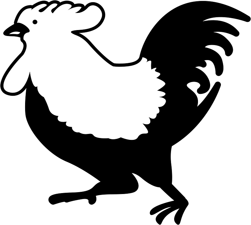 Rooster