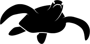 Sea Turtle