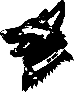 German shepherd