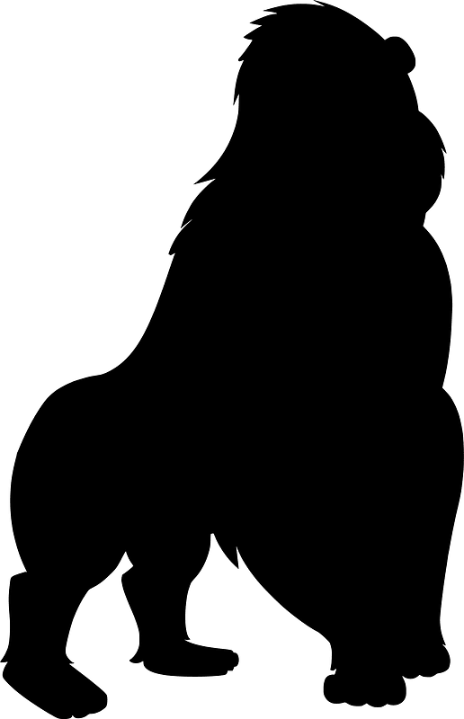 Gorilla