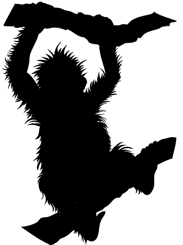 Orangutan