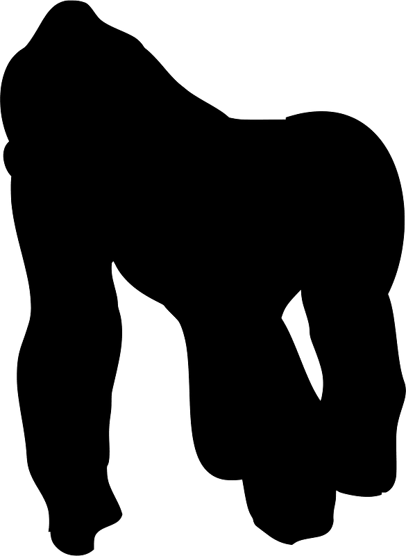 Gorilla