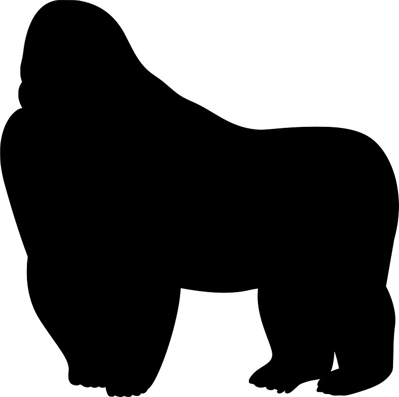 Gorilla