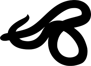 Barbados threadsnake