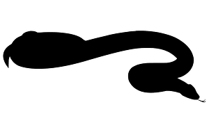 Anaconda