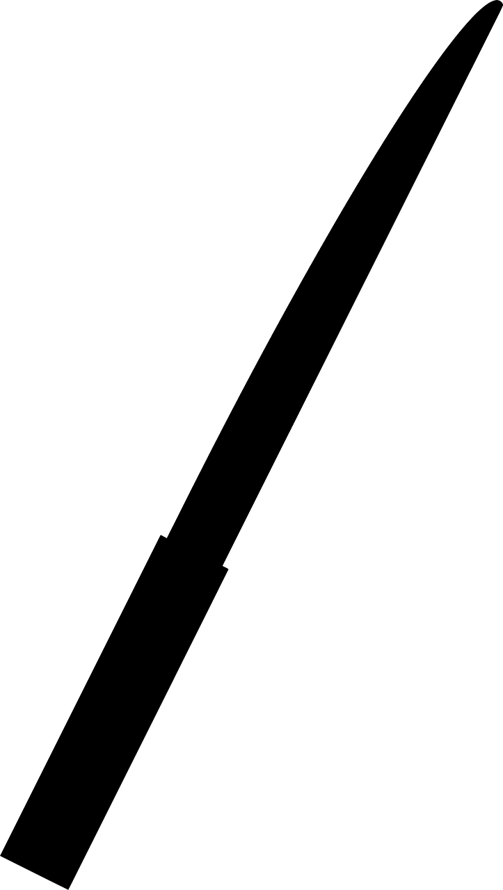 Tanto Japanese Sword