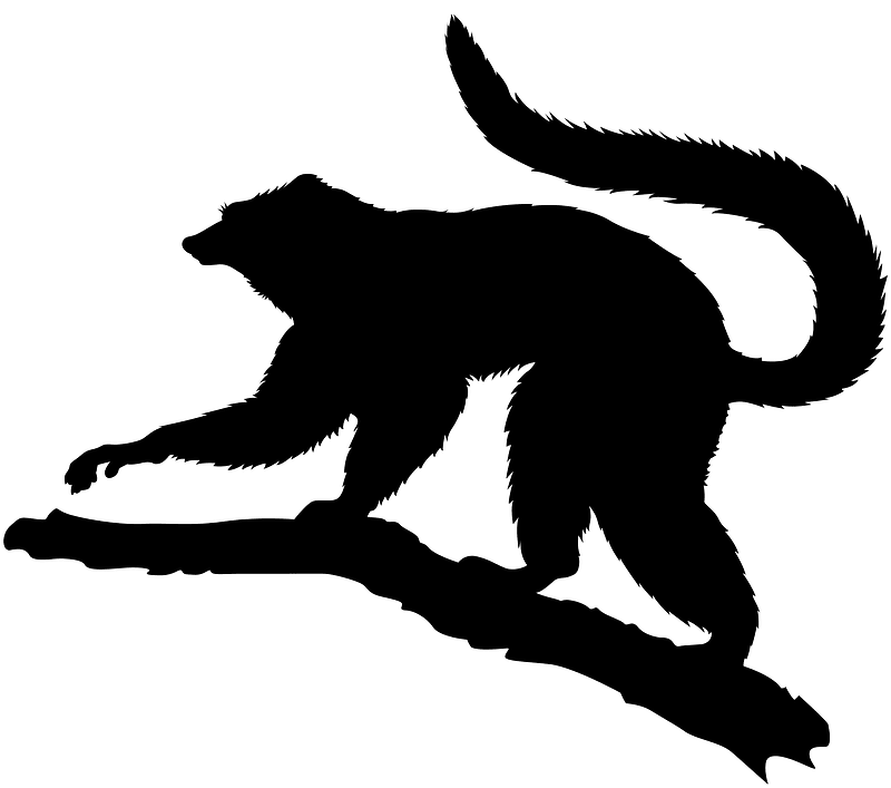 Lemur
