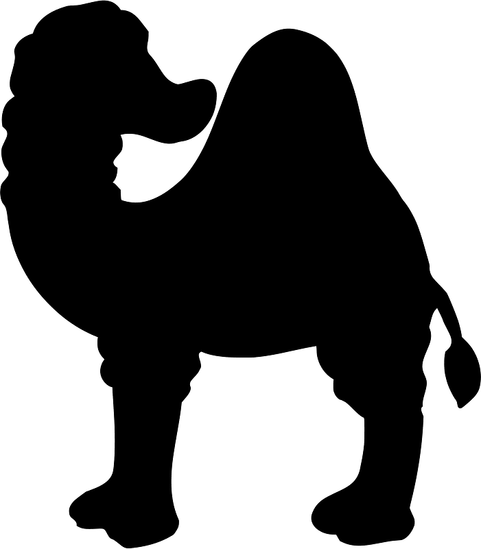 Camel