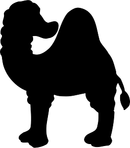 Camel