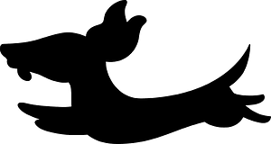 Dachshund