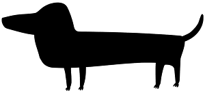 Dachshund
