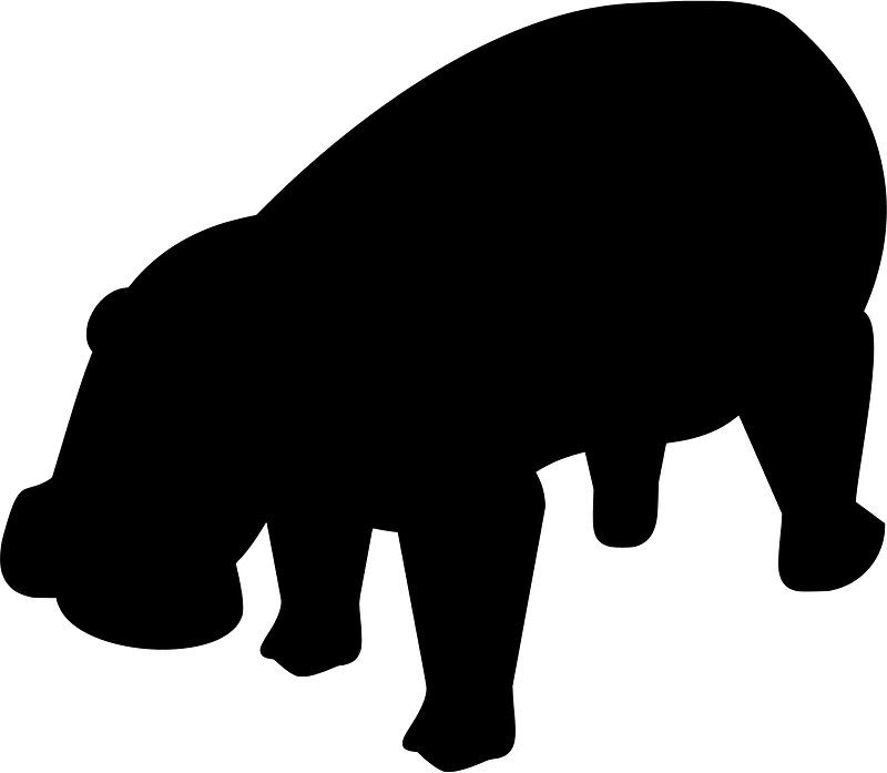 Hippopotamus