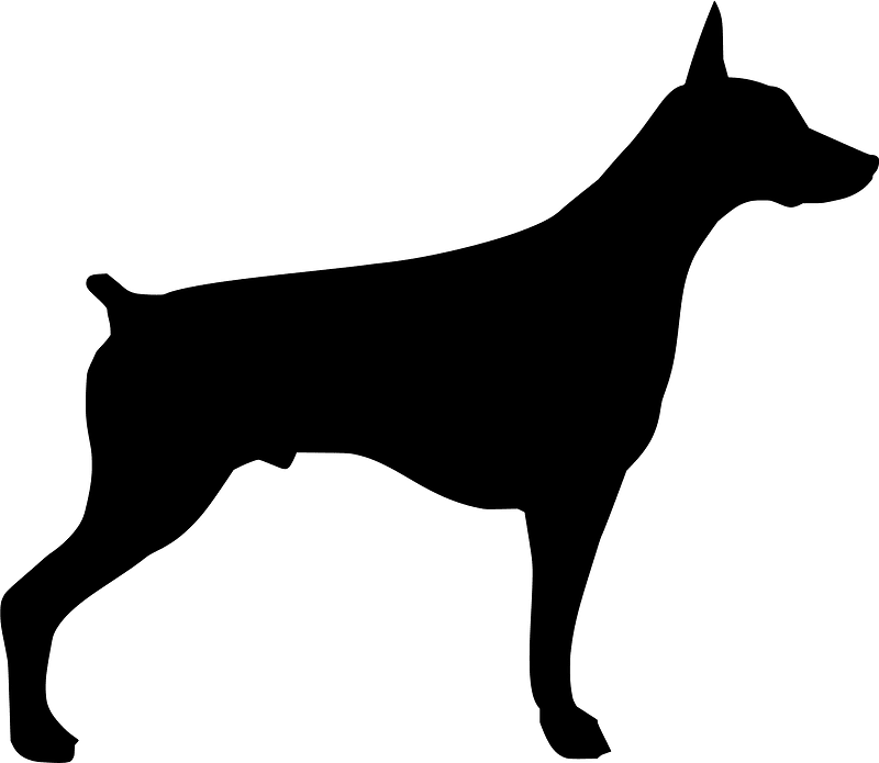 Doberman