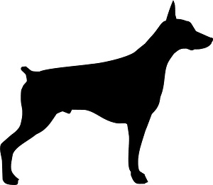 Doberman
