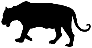  Tiger