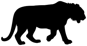  Tiger